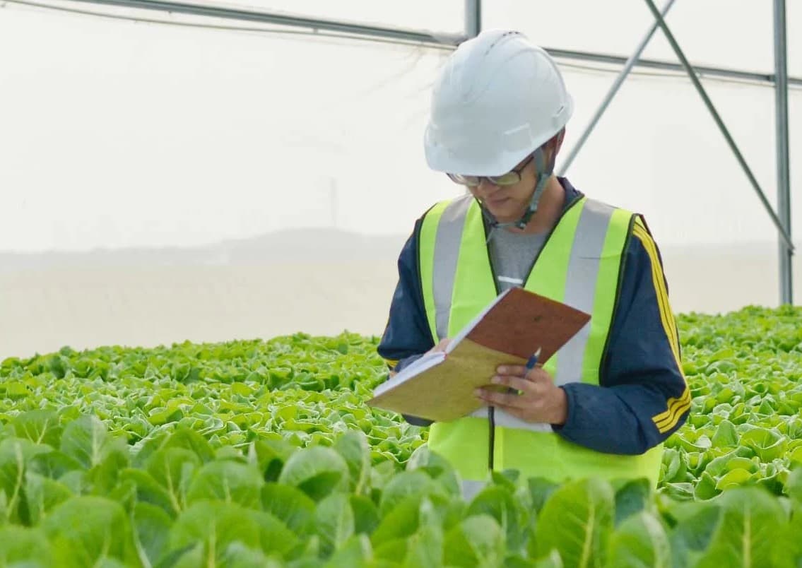 Đối tác chiến lược